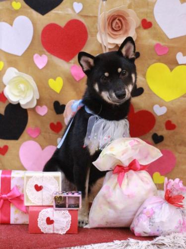 20230224マロくん